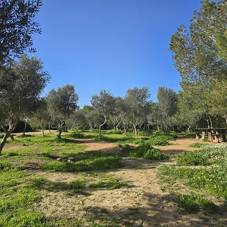 Apartment 2 Bedroom Park Views With Wifi And Ac 2 - *
